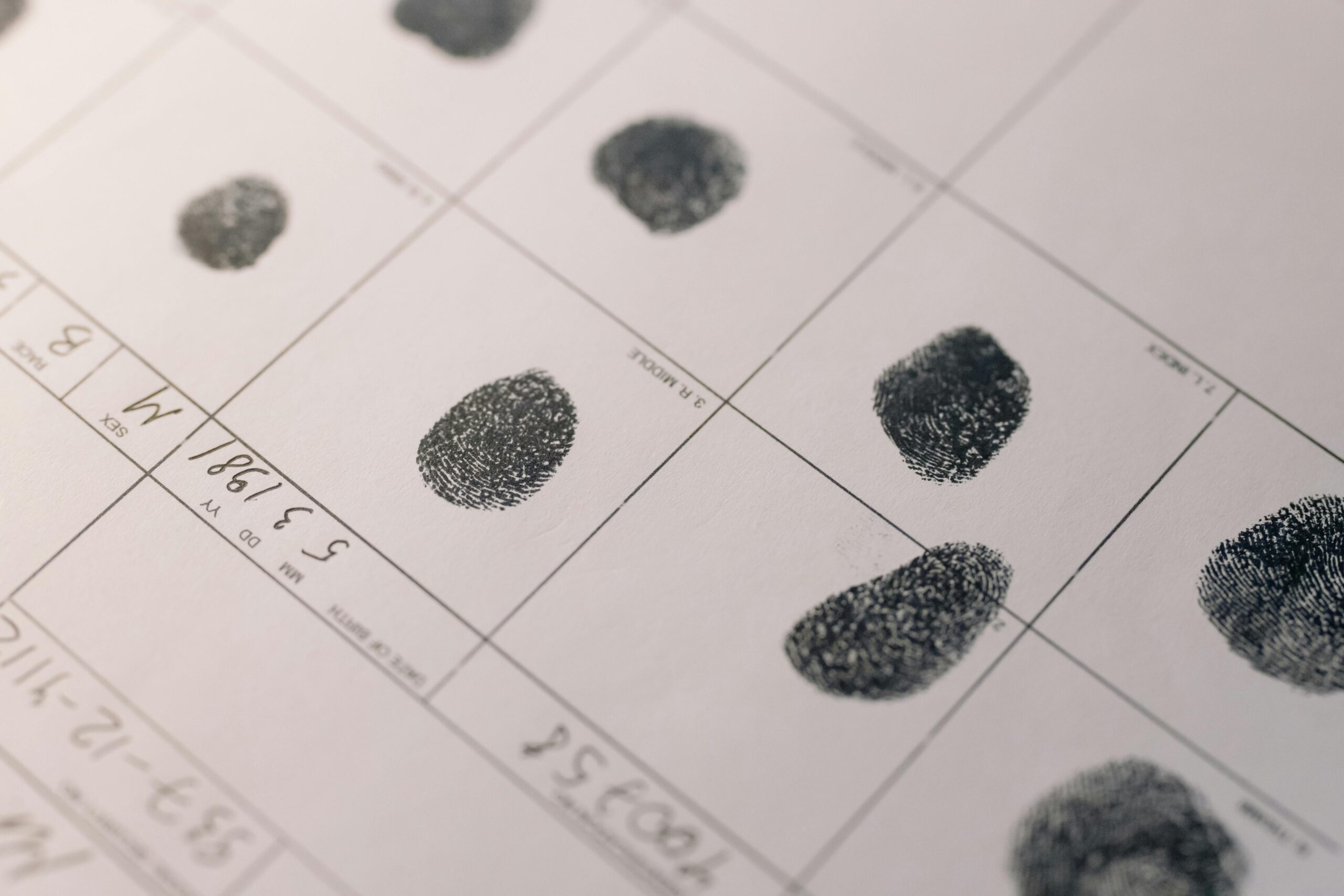 Mastering Claim Evidence Reasoning